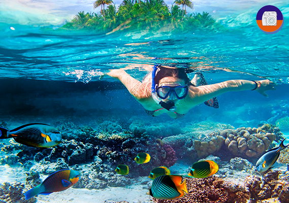 Paradise Island Escape: Snorkel & Beach Adventure from Puerto Plata